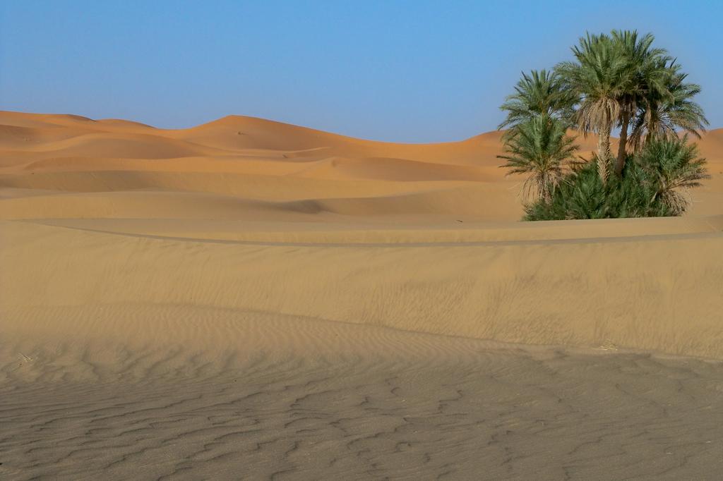 לינה וארוחת בוקר מרזאוגה Kasbah Tamariste מראה חיצוני תמונה