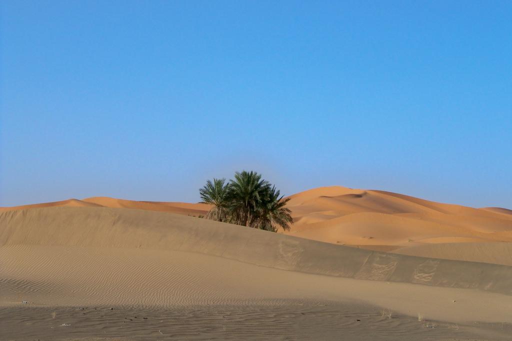 לינה וארוחת בוקר מרזאוגה Kasbah Tamariste מראה חיצוני תמונה